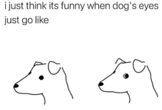 Why Do Dogs Give The Side Eye