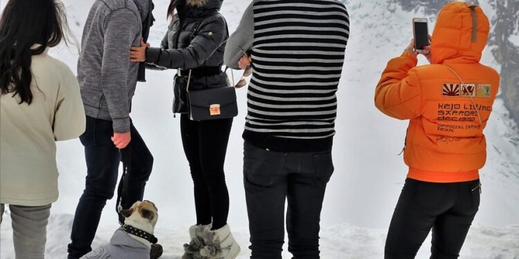 Pawsitively Cozy: The Ultimate Guide to Stylish Sweaters for Your Furry Friend