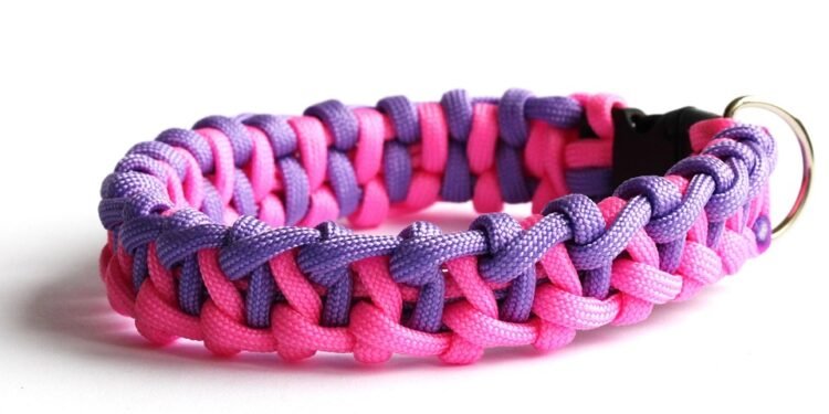 Personalized Pup: The Power of a Dog Collar with Name