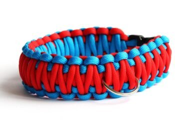 Chic and Secure: The Ultimate Small Dog Collar for Style and Safety