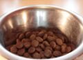 Soothing Solutions: The Top Dog Food for Sensitive Stomachs and Skin Allergies