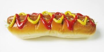 Senior Savory: The Top Nutritious Foods for Your Aging Pup