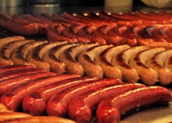 Lean and Healthy: The Top Dog Food Picks for Weight Loss without Chicken