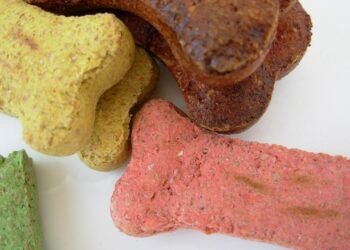 Cracking the Code: How to Cater to Your Picky Pooch’s Palate with the Perfect Dog Food Toppings