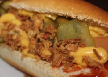 Tail-Wagging Taste Test: The Best Dog Food for Picky Eaters