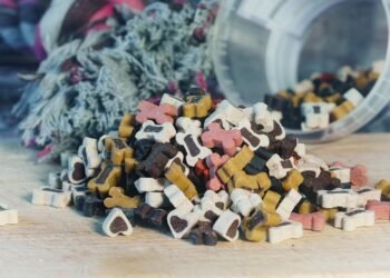 Wholesome Canine Cuisine: Vet-Approved Homemade Dog Treat Recipes without Flour