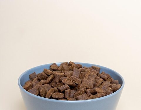 Delicious and Nutritious: Vet-Approved Homemade Dog Treats Recipes Minus the Peanut Butter