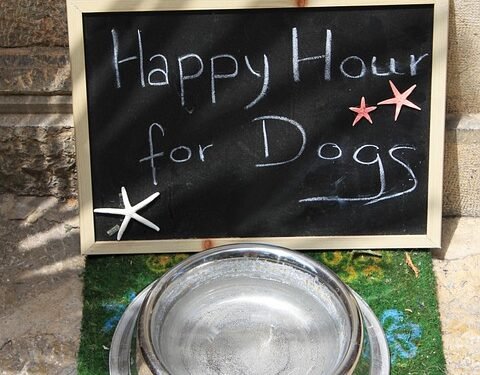 Pumpkin Paws: Vet-Approved Homemade Dog Treat Recipes for a Healthy and Happy Pup