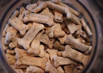 Canine Cuisine: Exploring the Benefits of Bananas and Strawberries in Your Dog’s Diet