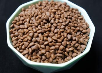 Gentle Gourmet: Nourishing Meals for Senior Dogs with Sensitive Stomachs