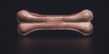 Beyond the Bowl: Exploring Safe and Healthy Foods for Your Pup