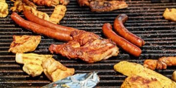 Feeding Fido: The Top Picks for Dogs with Sensitive Stomachs