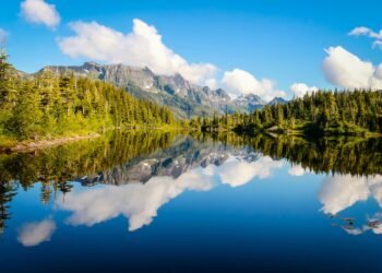 Tail-Wagging Taste Test: The Top Dog Foods for Picky Eaters