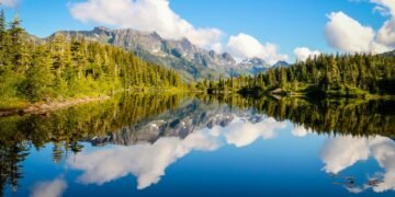 Tail-Wagging Taste Test: The Top Dog Foods for Picky Eaters