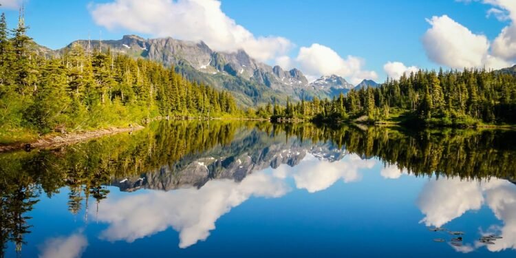 Tail-Wagging Taste Test: The Top Dog Foods for Picky Eaters