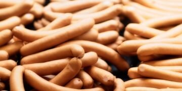 Pawsitively Delicious: Vet-Approved Pumpkin Homemade Dog Treats Recipes