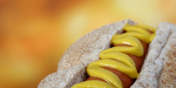 From Table Scraps to Treats: What Human Foods are Safe for Dogs to Eat?