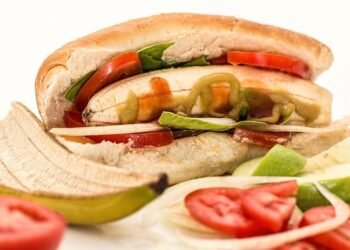 Digestive Delights: The Top Food Choices for Senior Dogs with Sensitive Stomachs