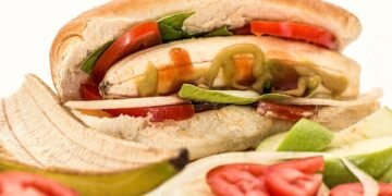 Digestive Delights: The Top Food Choices for Senior Dogs with Sensitive Stomachs