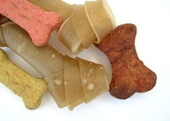 Pawsitively Pineapple: Exploring the Benefits of Dogs Eating this Tropical Fruit