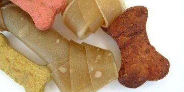 Pawsitively Pineapple: Exploring the Benefits of Dogs Eating this Tropical Fruit