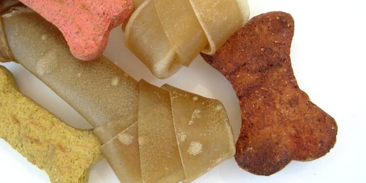 Pawsitively Pineapple: Exploring the Benefits of Dogs Eating this Tropical Fruit