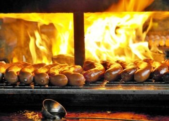 Canine Cuisine: What Human Foods are Safe for Your Pup to Eat