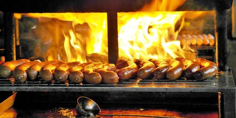 Canine Cuisine: What Human Foods are Safe for Your Pup to Eat