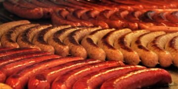 Healthy and Safe: A Guide to What Your Dog Can Eat Every Day