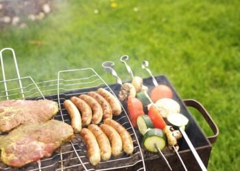 Ultimate Guide to the Best Dog Food for Sensitive Stomachs and Skin Allergies: Nourishing your Pup Inside and Out