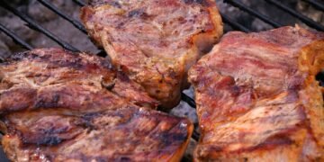 Fueling Your Furry Friend: The Ultimate Guide to the Best Dog Food for Puppies