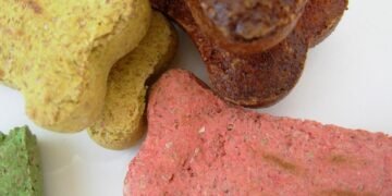 Top Picks: The Best Small Breed Puppy Food for Healthy Growth and Development