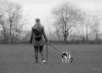 The Ultimate Guide to Choosing the Perfect Puppy Leash for Your Furry Best Friend