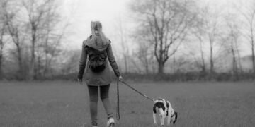 The Ultimate Guide to Choosing the Perfect Puppy Leash for Your Furry Best Friend