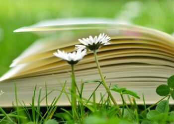 Find the Best Dog Potty Training Services Near You for a Happy, Healthy Pup!