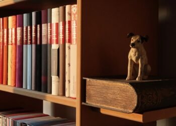 Mastering Canine Control: The Best Dog Aggression Training Near You