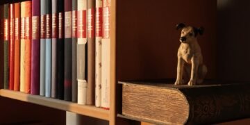 Mastering Canine Control: The Best Dog Aggression Training Near You