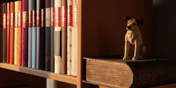 Mastering Canine Control: The Best Dog Aggression Training Near You