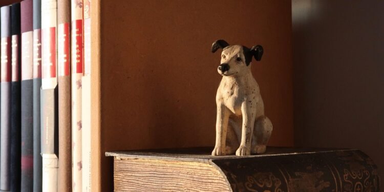 Mastering Canine Aggression: Find Expert Dog Training Near You