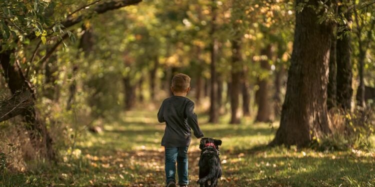 Unleash Your Dog’s Potential: Top-Rated Training Classes Near You!