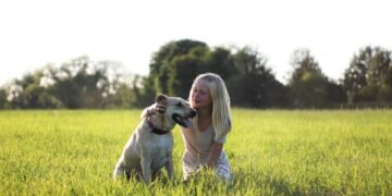 Pawsitively Social: The Ultimate Guide to Dog Socialization Classes