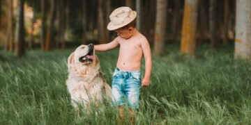 The Ultimate Guide to Dog Potty Training: Find the Best Local Classes Near You