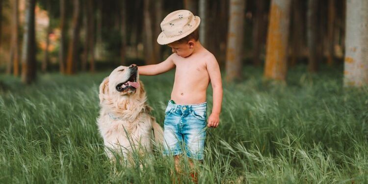 The Ultimate Guide to Dog Potty Training: Find the Best Local Classes Near You