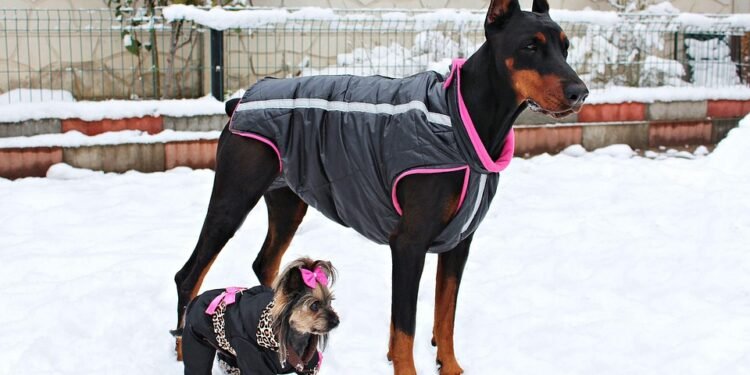 Pawsitively Stylish: The Ultimate Dog Tshirt Collection