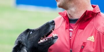 Pawsitively Affordable: The Ultimate Guide to Training Your Dog on a Budget