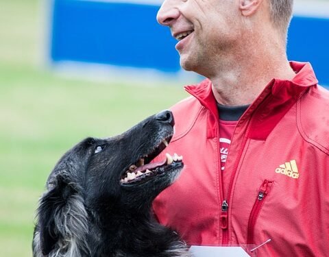 Pawsitively Affordable: The Ultimate Guide to Training Your Dog on a Budget