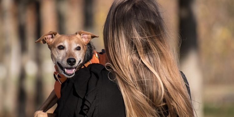 Unleash Your Dog’s Potential: Free Dog Training Near Me!