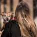 Unleash Your Dog’s Potential: Free Dog Training Near Me!