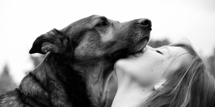 Pawsitively Pawesome: The Ultimate Dog T-Shirt Collection for Fashionable Pups