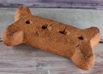 Unleash Your Dog’s Potential: Top Training Schools Near You